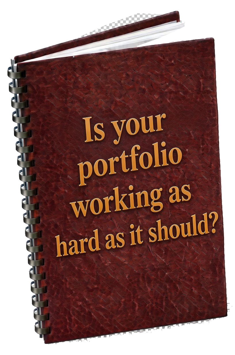 Bound copy of the Portfolio Review package